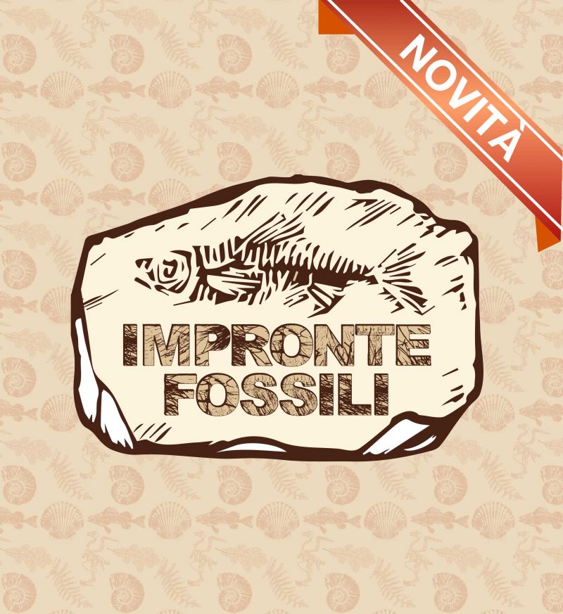 IMPRONTE FOSSILI