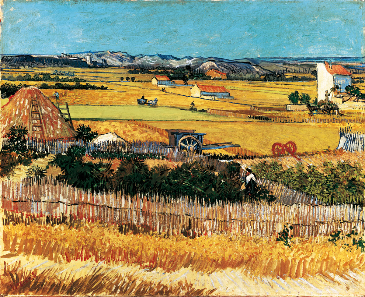 Veduta della piana di La Crau - Van Gogh, Vincent