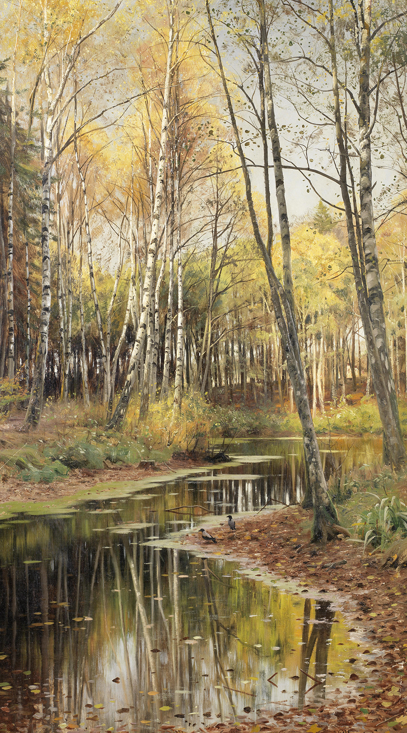 Autunno nel bosco di betulle - Mønsted, Peder Mørk