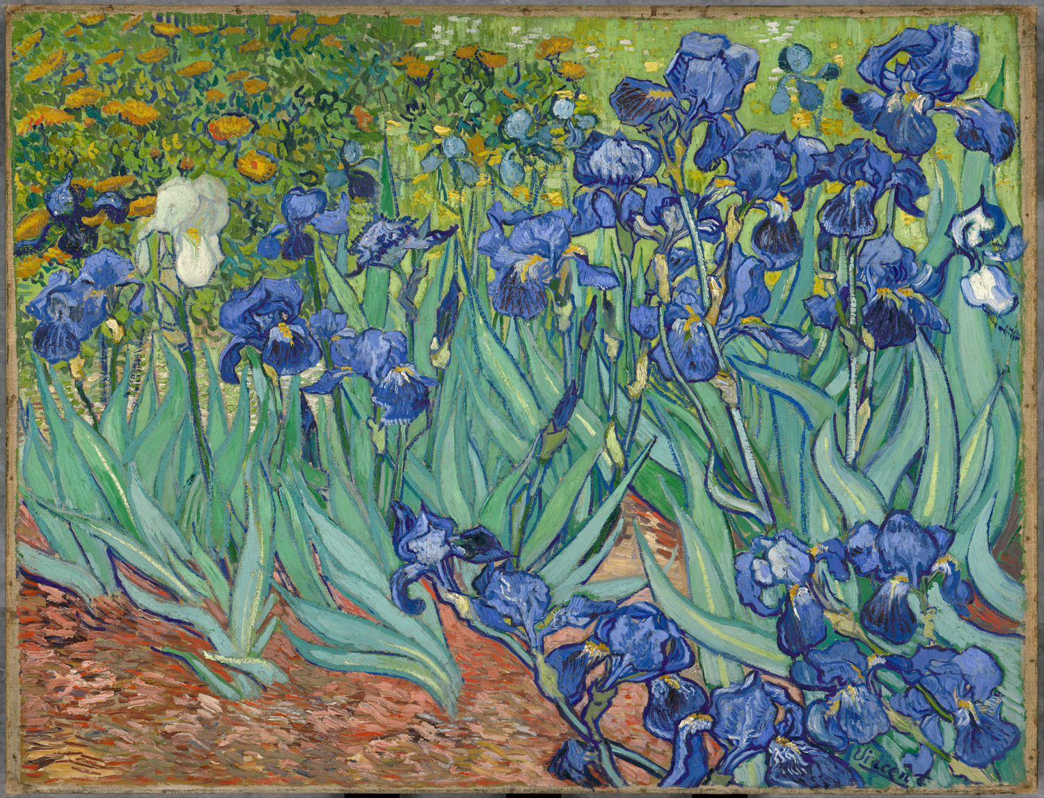 Iris - Van Gogh, Vincent