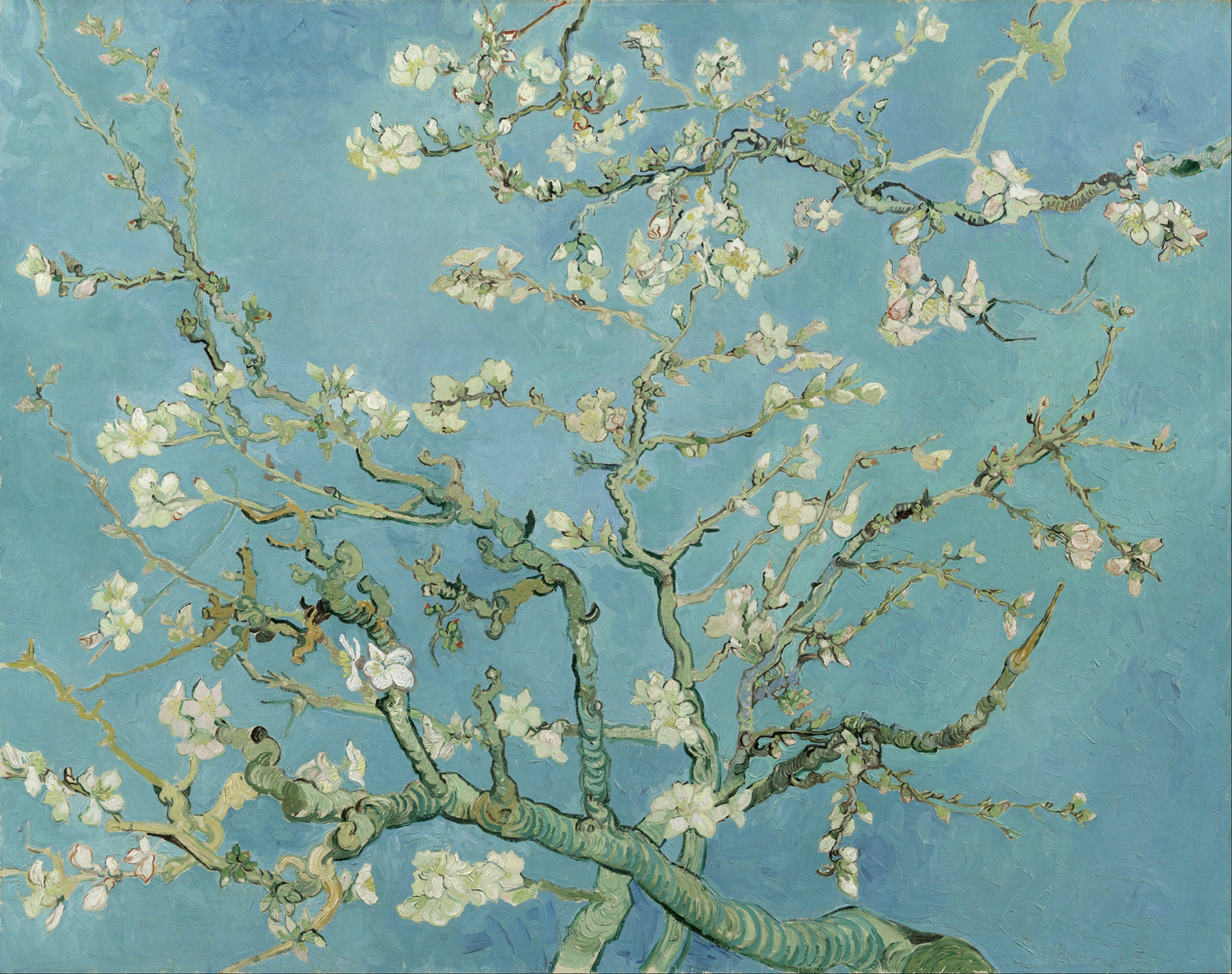Ramo di mandorlo in fiore - Van Gogh, Vincent
