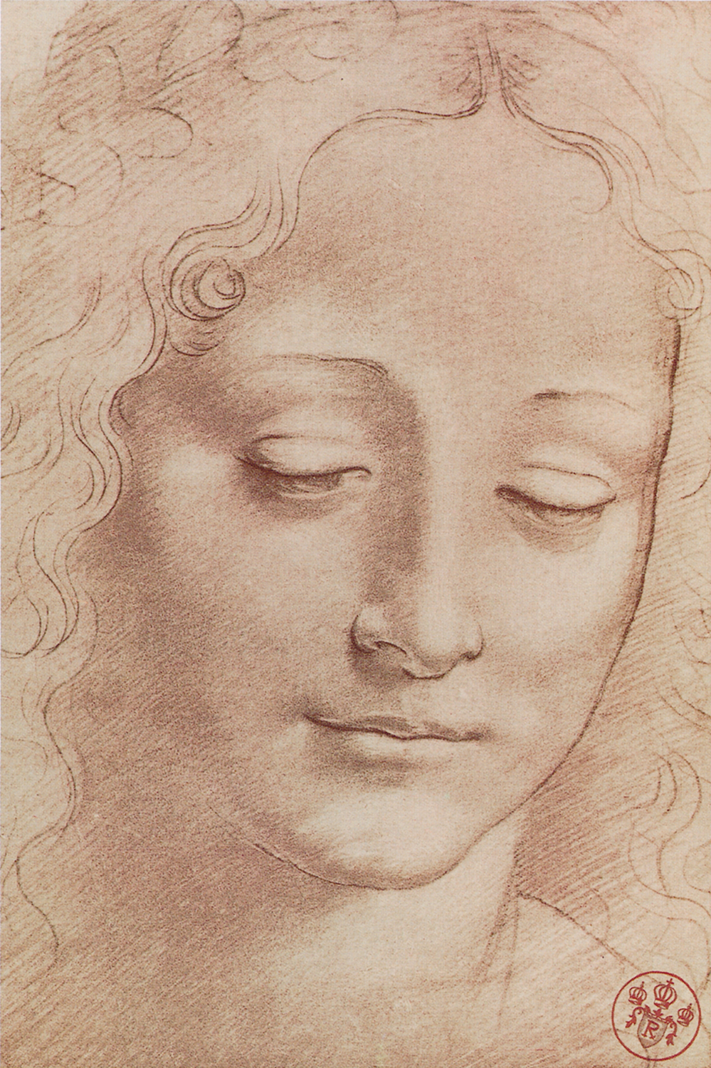 Testa di giovinetta - Leonardo da Vinci