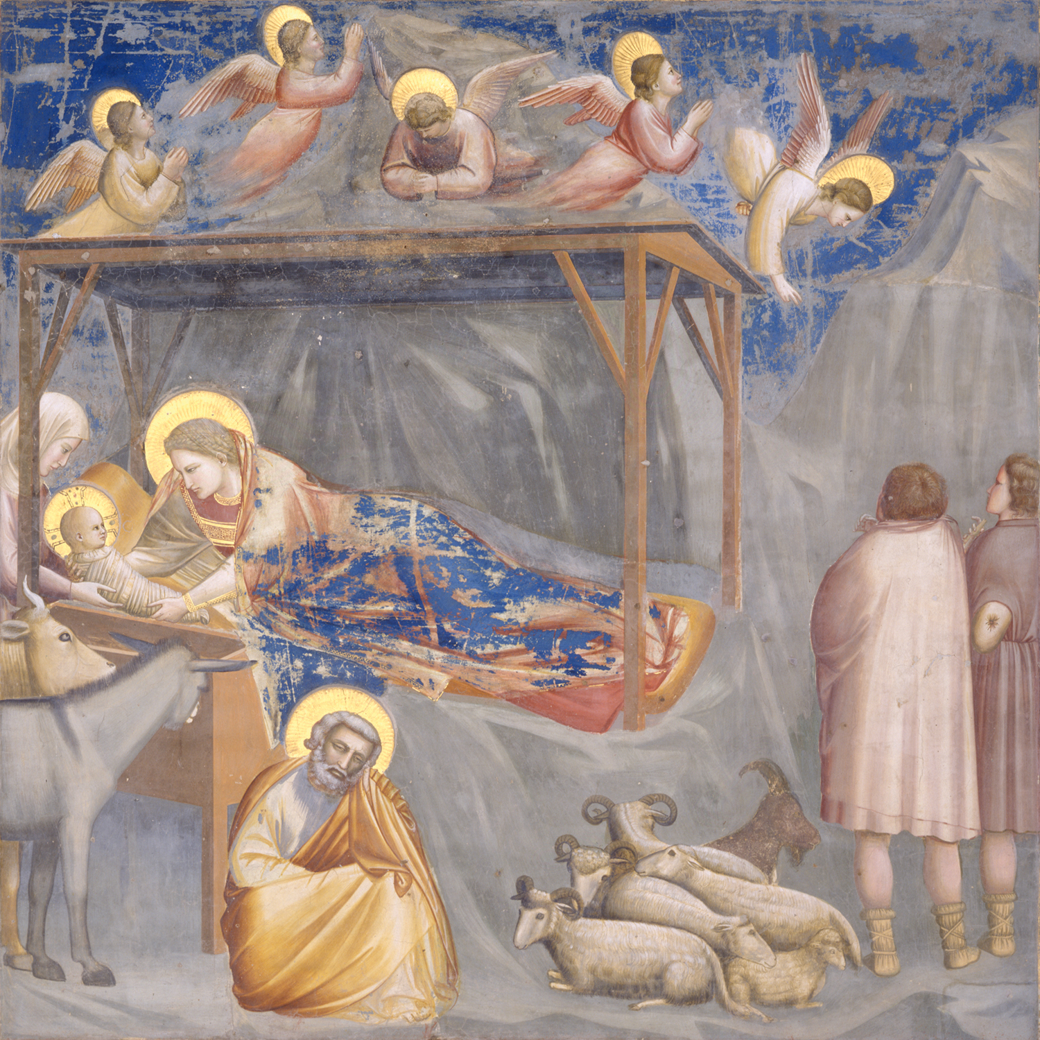 Natività - Giotto di Bondone