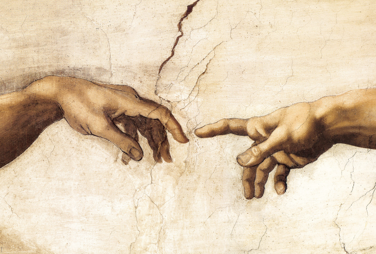 La Creazione di Adamo  (particolare dita) - Michelangelo Buonarroti