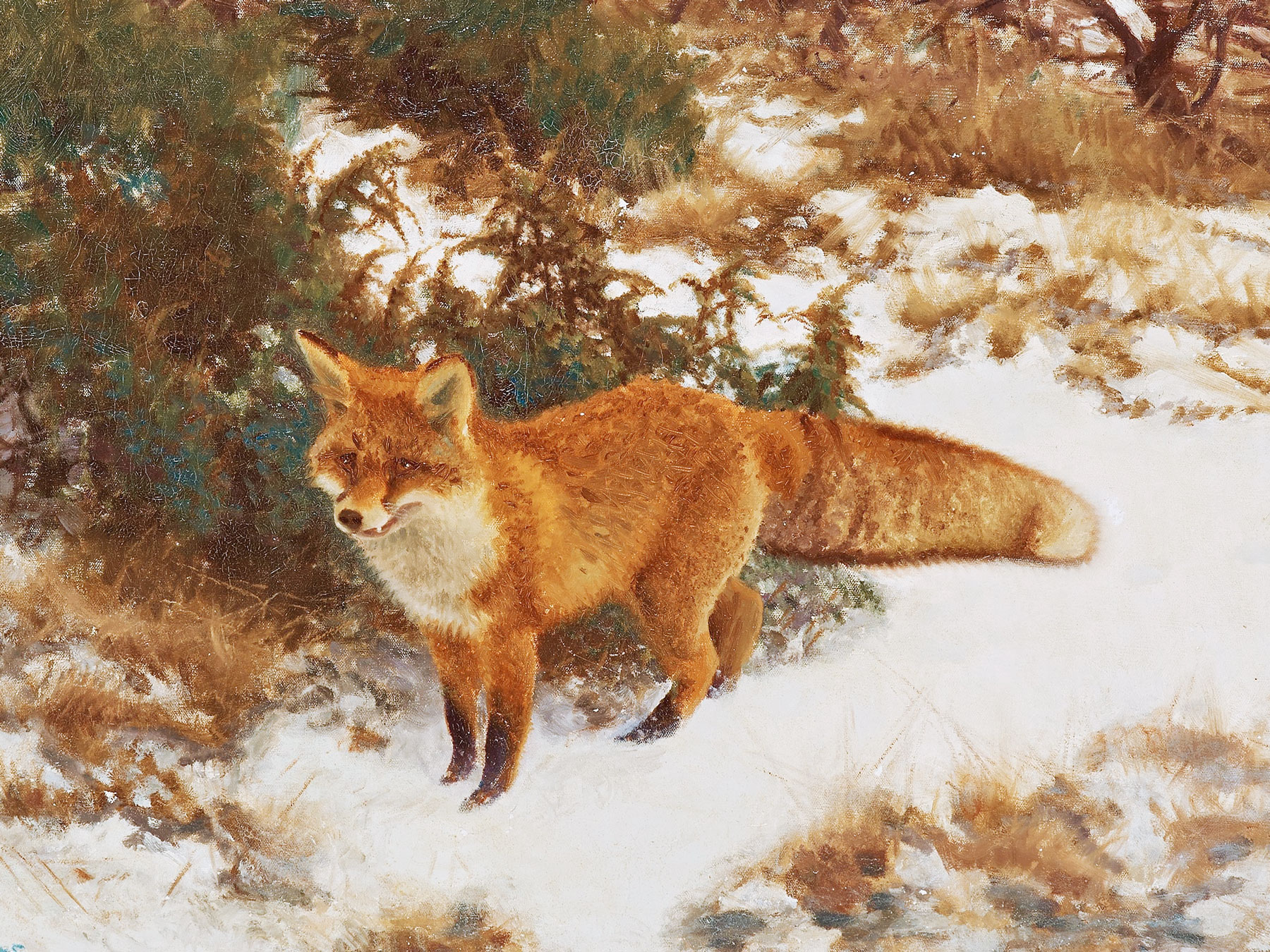 Volpe nella neve - Liljefors, Bruno