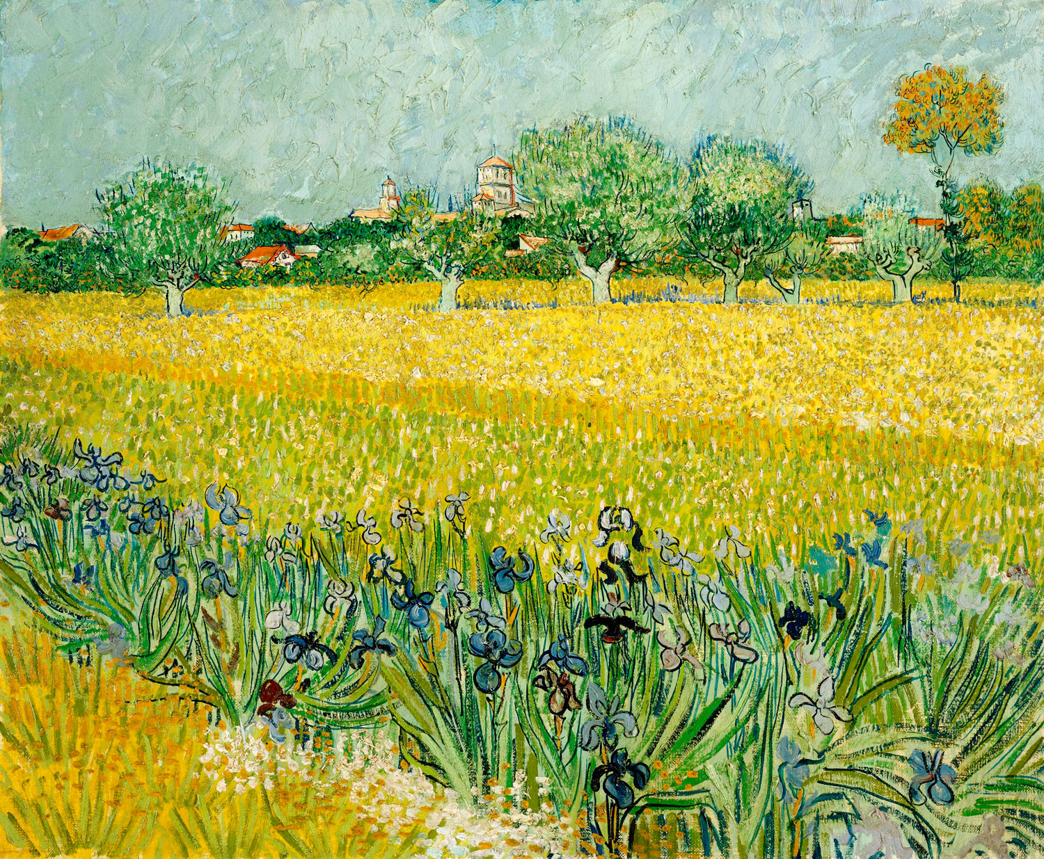 Campo con fiori vicino ad Arles - Van Gogh, Vincent