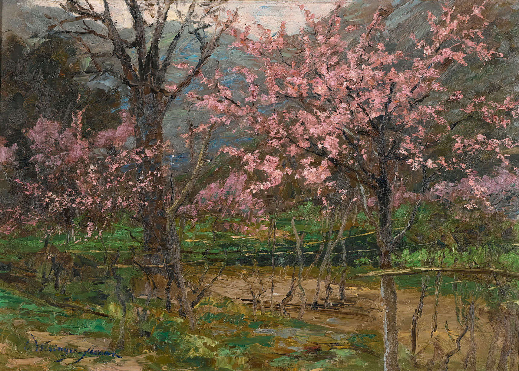 Primavera in Austria - Wisinger-Florian, Olga