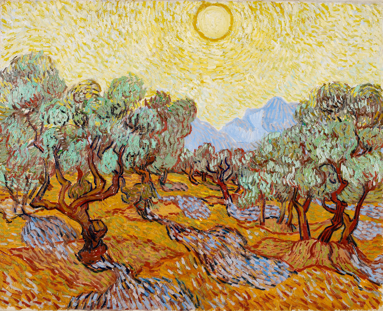 Alberi d'ulivo - Van Gogh, Vincent