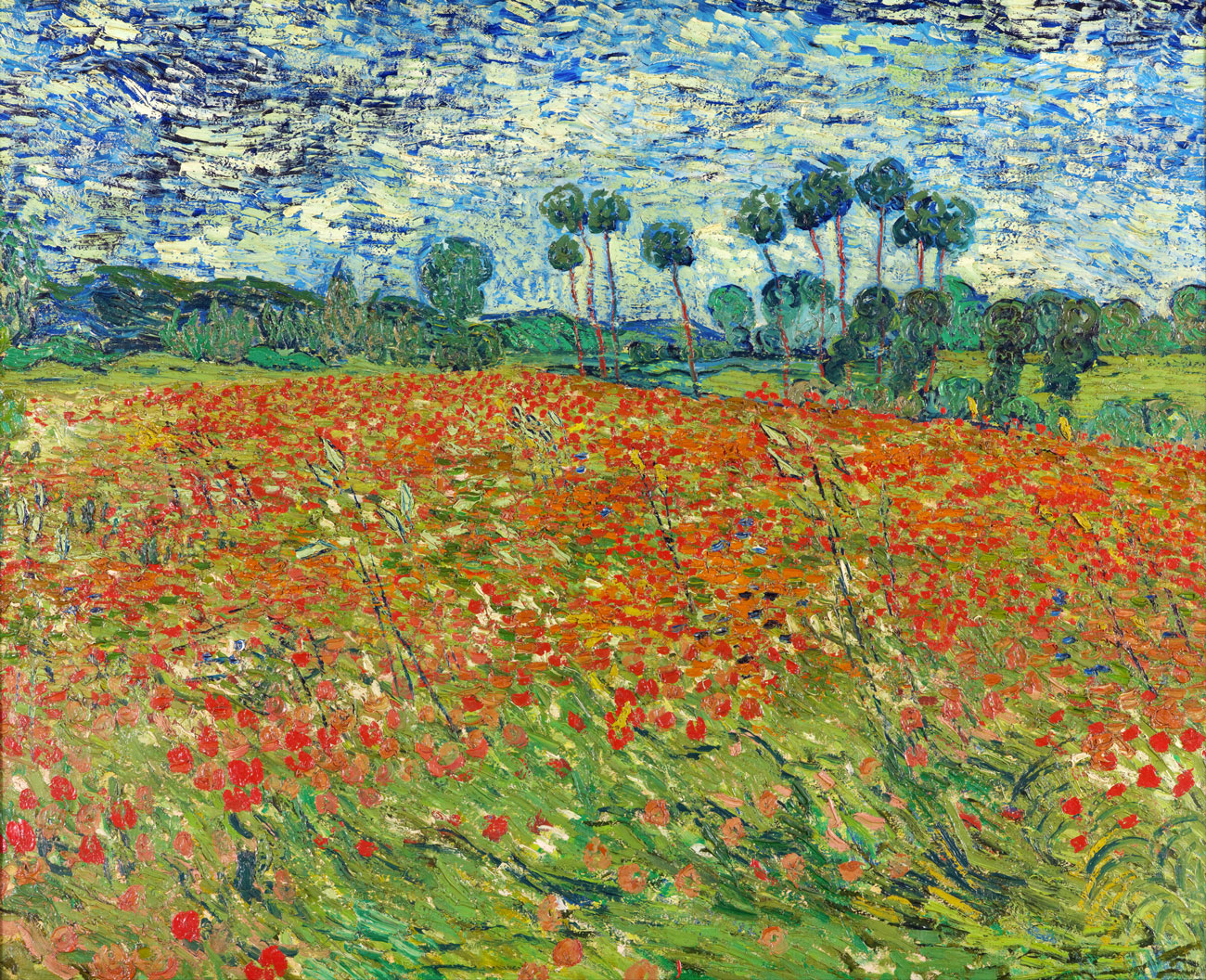 Campo di papaveri - Van Gogh, Vincent