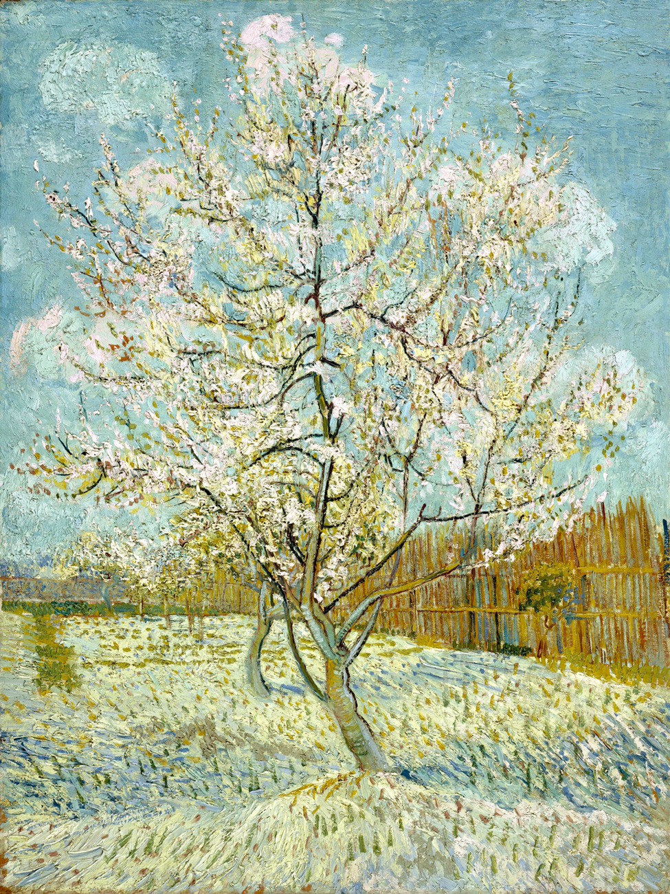 Pesco in fiore - Van Gogh, Vincent